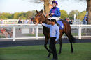Race 5 - Dubai Instinct (11)
