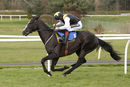 Race 5 - Earlofthecotswolds (11)