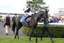 Race 5 - Earlofthecotswolds (12)