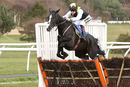 Race 5 - Earlofthecotswolds (5)