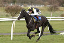 Race 5 - Earlofthecotswolds (7)