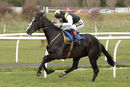 Race 5 - Earlofthecotswolds (8)