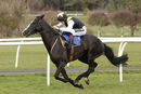 Race 5 - Earlofthecotswolds (9)