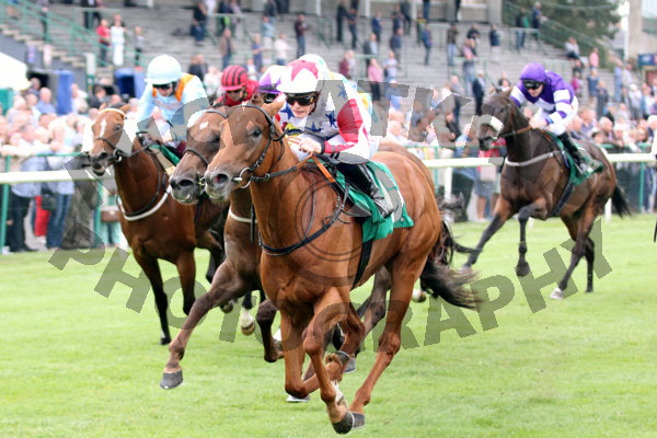 Race 5 - El Hombre (6)
