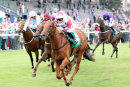 Race 5 - El Hombre (6)