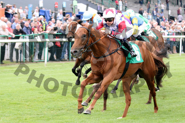 Race 5 - El Hombre (7)