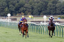 Race 5 - Eponina (3)