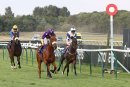 Race 5 - Eponina (4)