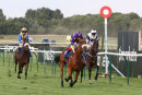 Race 5 - Eponina (6)