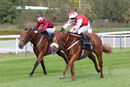 Race 5 - Fantasy Master (11)