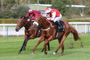 Race 5 - Fantasy Master (13)