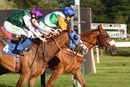Nottingham Races (17 June 19)