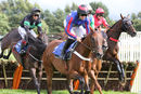 Race 5 - Follow The Bear (2)