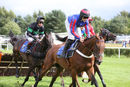 Race 5 - Follow The Bear (3)