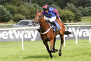 Race 5 - Follow The Bear (8)