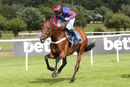 Race 5 - Follow The Bear (9)