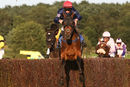 Race 5 - Gentleman James (3)