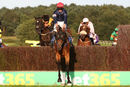 Race 5 - Gentleman James (4)