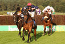 Race 5 - Gentleman James (7)