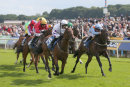 Race 5 - Give It Some Teddy (2)