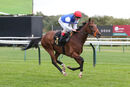 Race 5 - Glentaneous (8)