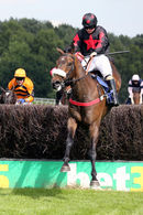 Race 5 - Gone Platinum (4)
