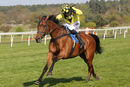 Race 5 - Gortroe Joe (10)