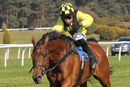 Race 5 - Gortroe Joe (8)