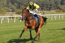 Race 5 - Gortroe Joe (9)
