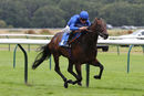 Race 5 - Great Example (3)