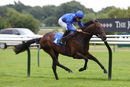 Race 5 - Great Example (4)