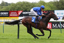Race 5 - Great Example (6)