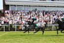 Race 5 - Gunmetal (8)