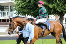 Race 5 - Hats Off To Larry (10)