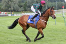 Race 5 - Hats Off To Larry (2)