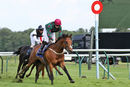 Race 5 - Hats Off To Larry (7)