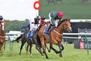Race 5 - Hats Off To Larry (9)