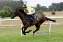Race 5 - High Secret (11)