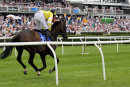 Race 5 - High Secret (3)
