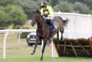 Race 5 - High Secret (5)