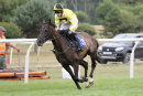 Race 5 - High Secret (6)