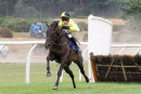 Race 5 - High Secret (9)