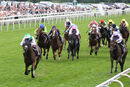 Race 5 - Hoo Ya Mal (2)
