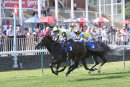 Race 5 - How Far (8)
