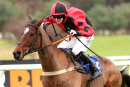 Race 5 - Huntsman Son (6)