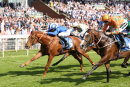 Race 5 - I am A Dreamer (8)