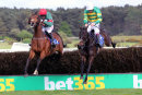 Race 5 - Idliketheoption (6)