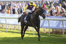 Race 5 - Illusionist (3)
