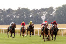 Race 5 - Iron Sky (2)