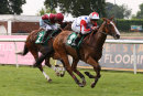 Race 5 - Iron Sky (4)